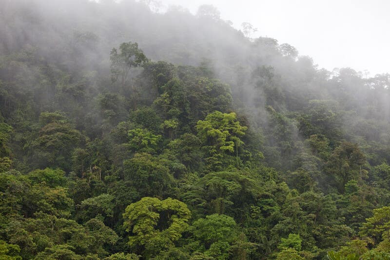 Re:wild - Protect Biodiversity